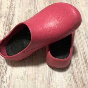 Birkenstocks (Professional Birkies)